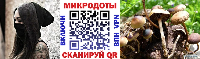 блэк спрут ССЫЛКА Шлиссельбург Псилоцибиновые грибы мухоморы